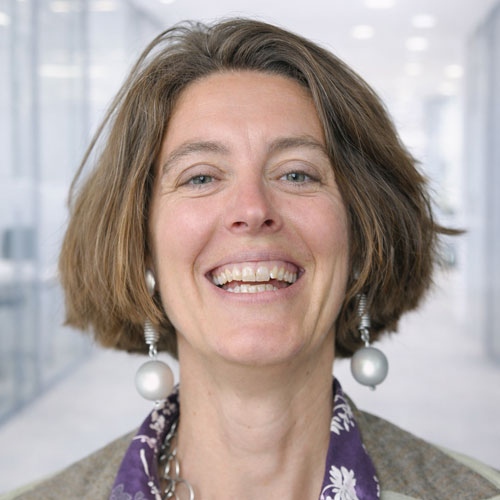 Partnerteams Experte Berater Trainer